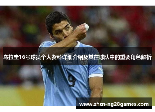 乌拉圭16号球员个人资料详细介绍及其在球队中的重要角色解析
